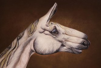Horse White on brown - Ph. G. Daniele